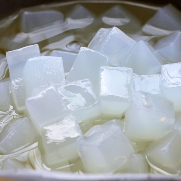 coconut-jelly